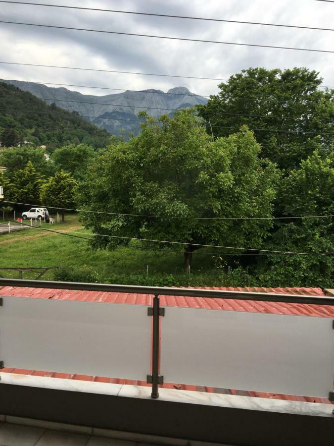 Venia'S House Apartment Скала Потамияс Екстериор снимка